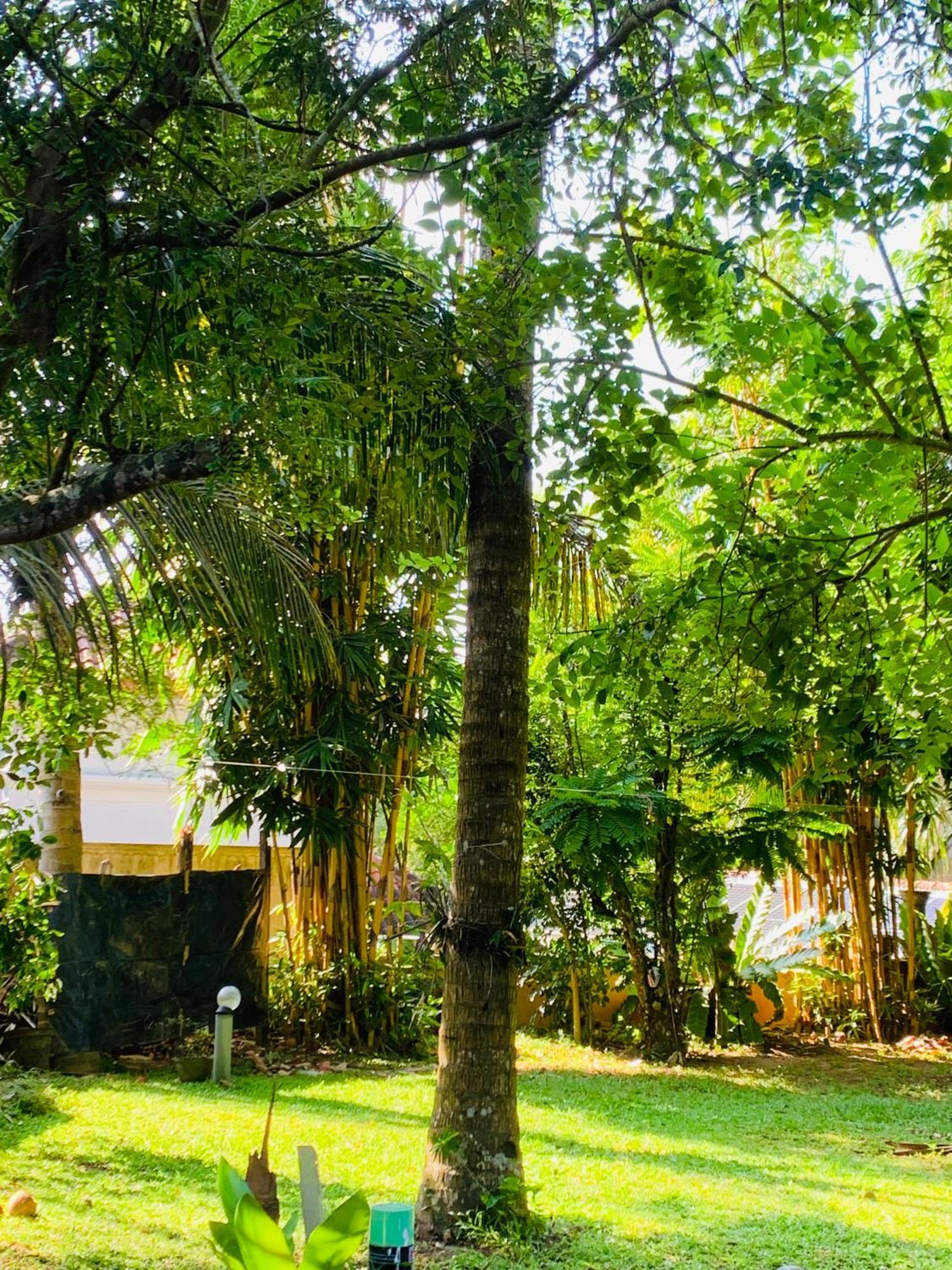 Cinnamon House Hiriketiya ดิคเวลลา ภายนอก รูปภาพ