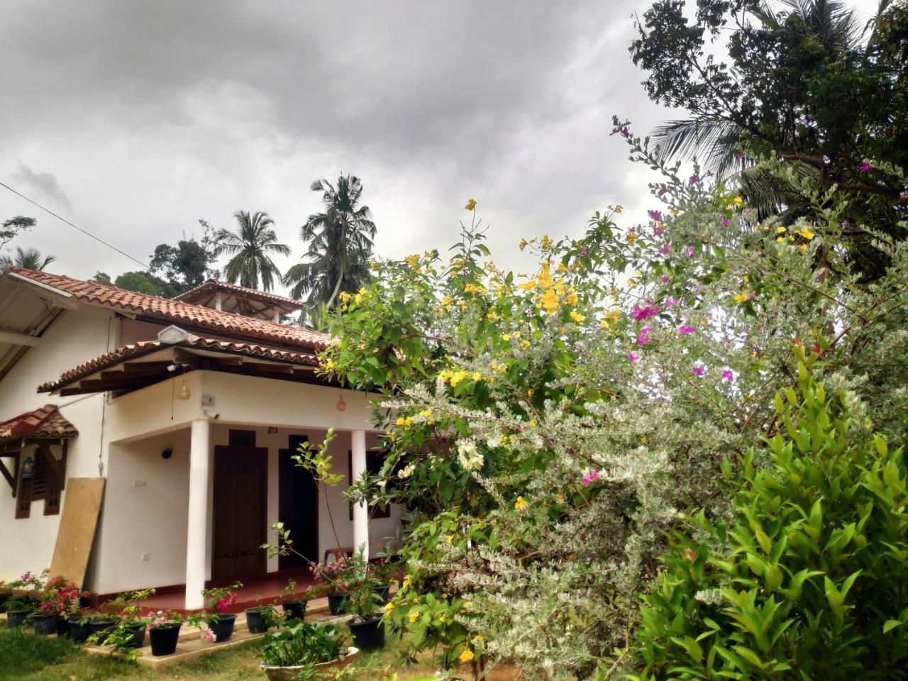 Cinnamon House Hiriketiya ดิคเวลลา ภายนอก รูปภาพ
