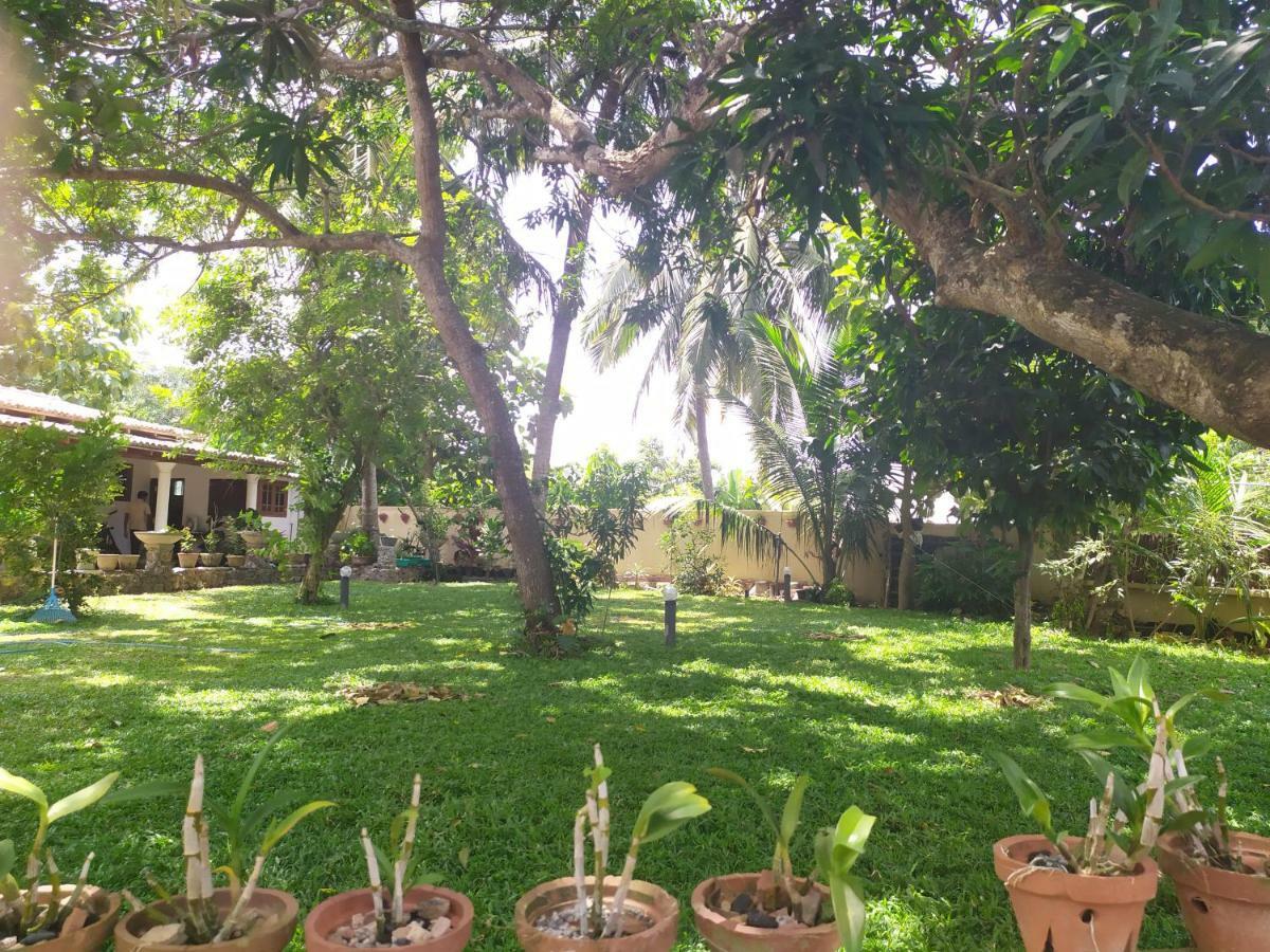 Cinnamon House Hiriketiya ดิคเวลลา ภายนอก รูปภาพ