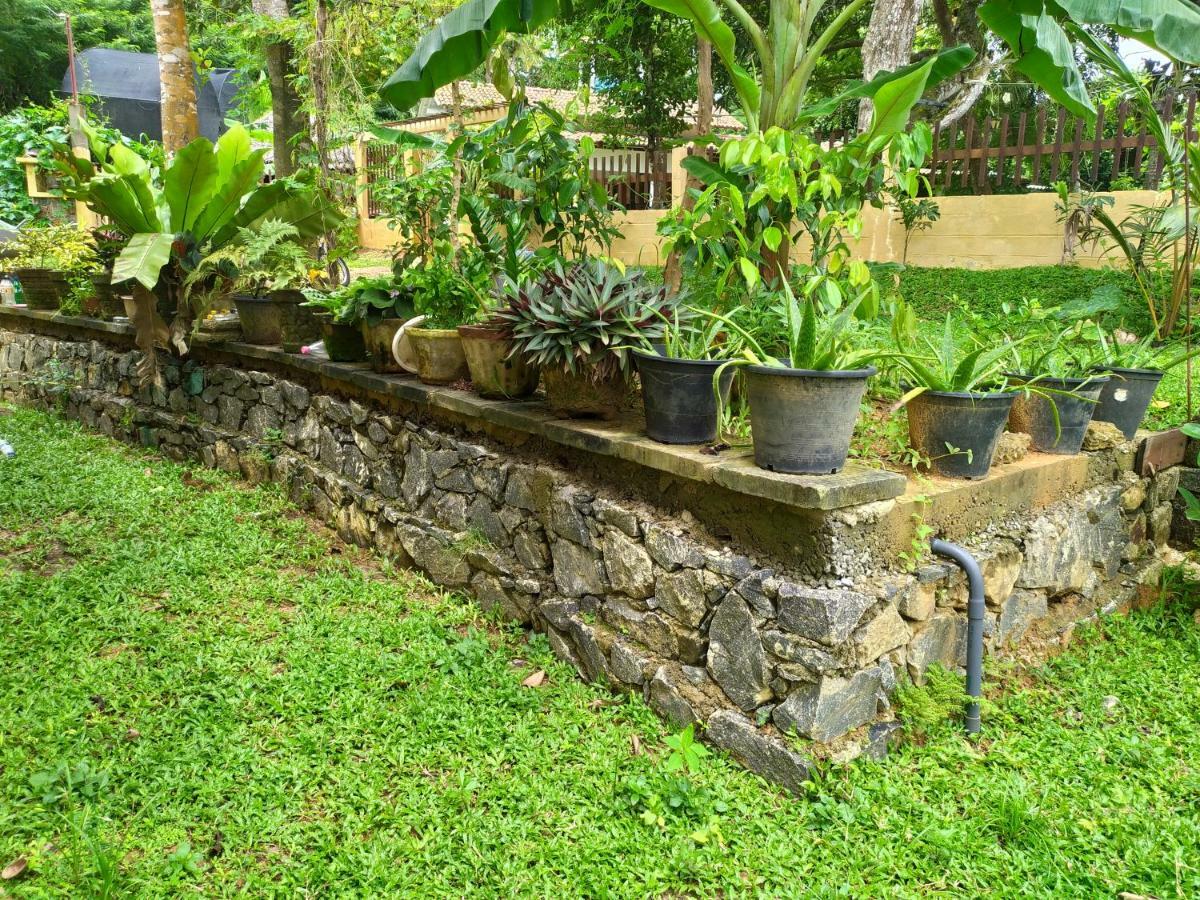 Cinnamon House Hiriketiya ดิคเวลลา ภายนอก รูปภาพ